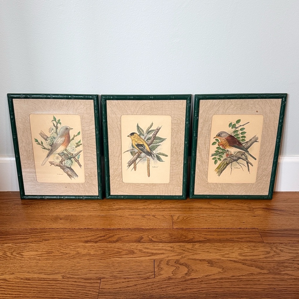 Vintage Set of 3 PH Gonner Framed Bird Prints 1940-1960 Grandmillennial Style